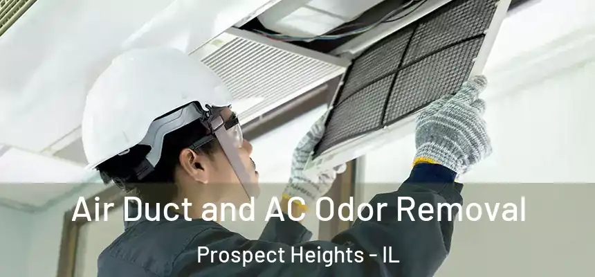 Air Duct and AC Odor Removal Prospect Heights - IL