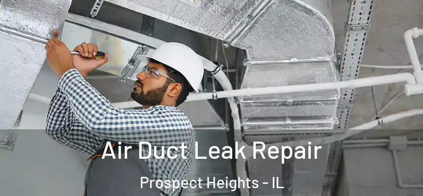 Air Duct Leak Repair Prospect Heights - IL