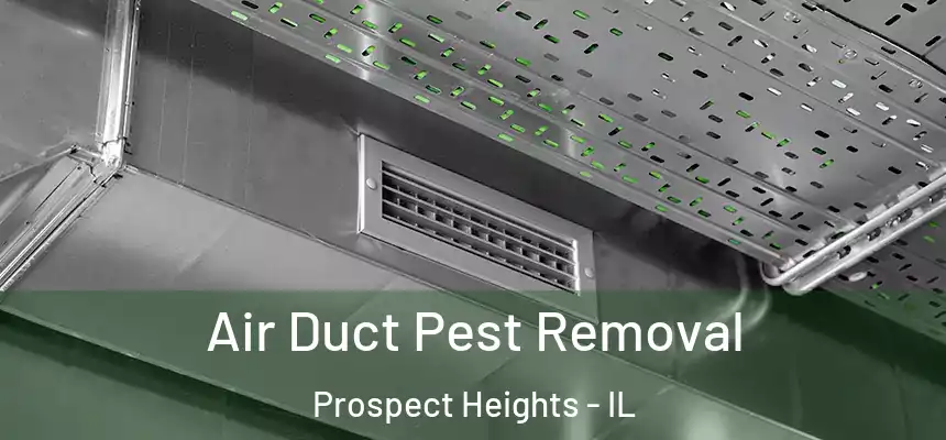 Air Duct Pest Removal Prospect Heights - IL