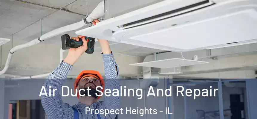 Air Duct Sealing And Repair Prospect Heights - IL