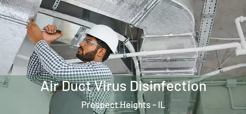 Air Duct Virus Disinfection Prospect Heights - IL
