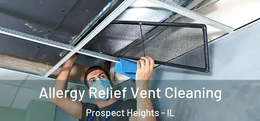  Allergy Relief Vent Cleaning Prospect Heights - IL