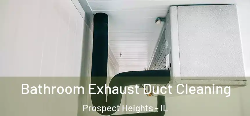  Bathroom Exhaust Duct Cleaning Prospect Heights - IL