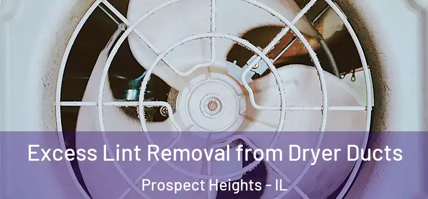 Excess Lint Removal from Dryer Ducts Prospect Heights - IL