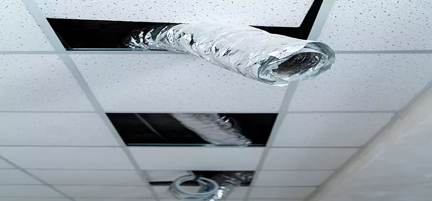 Affordable HVAC Sanitizing After Pest Removal in Prospect Heights