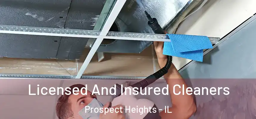 Licensed And Insured Cleaners Prospect Heights - IL