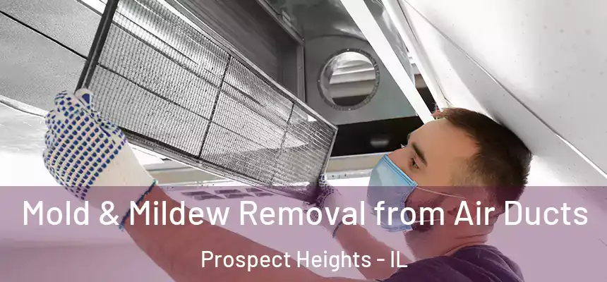  Mold & Mildew Removal from Air Ducts Prospect Heights - IL