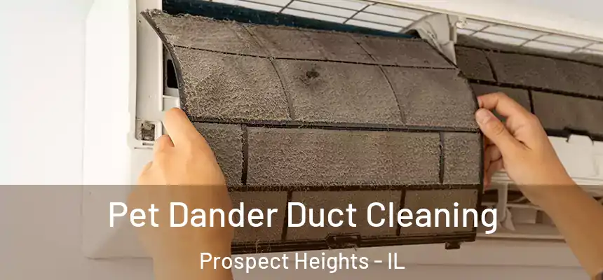  Pet Dander Duct Cleaning Prospect Heights - IL