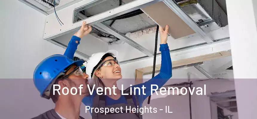 Roof Vent Lint Removal Prospect Heights - IL