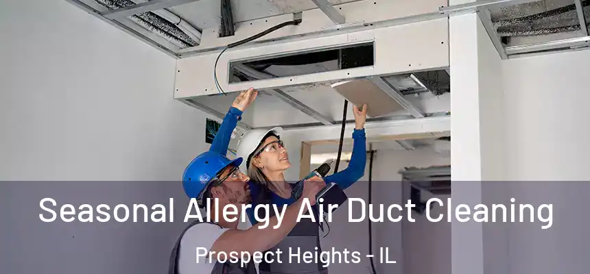 Seasonal Allergy Air Duct Cleaning Prospect Heights - IL