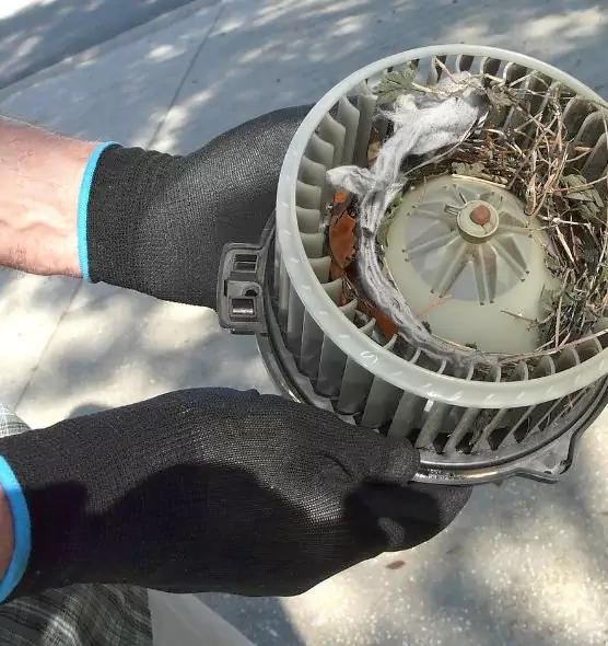 About Air Duct Mice Removal in Prospect Heights, IL