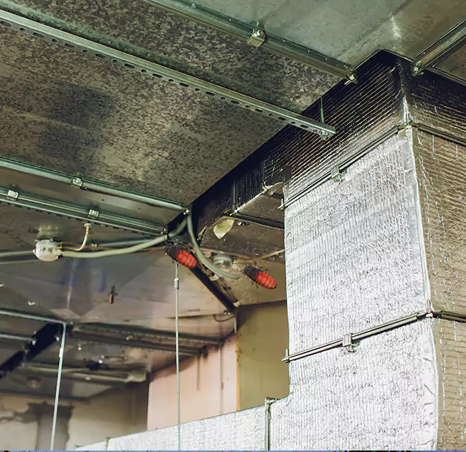 Why Homeowners & Businesses Trust Us Prospect Heights, IL?