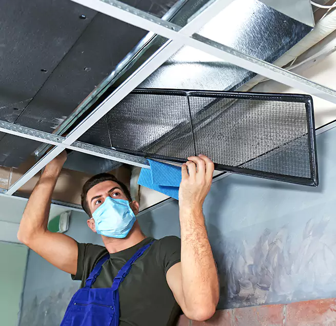 Why Homeowners & Businesses Trust Us in Prospect Heights, IL?